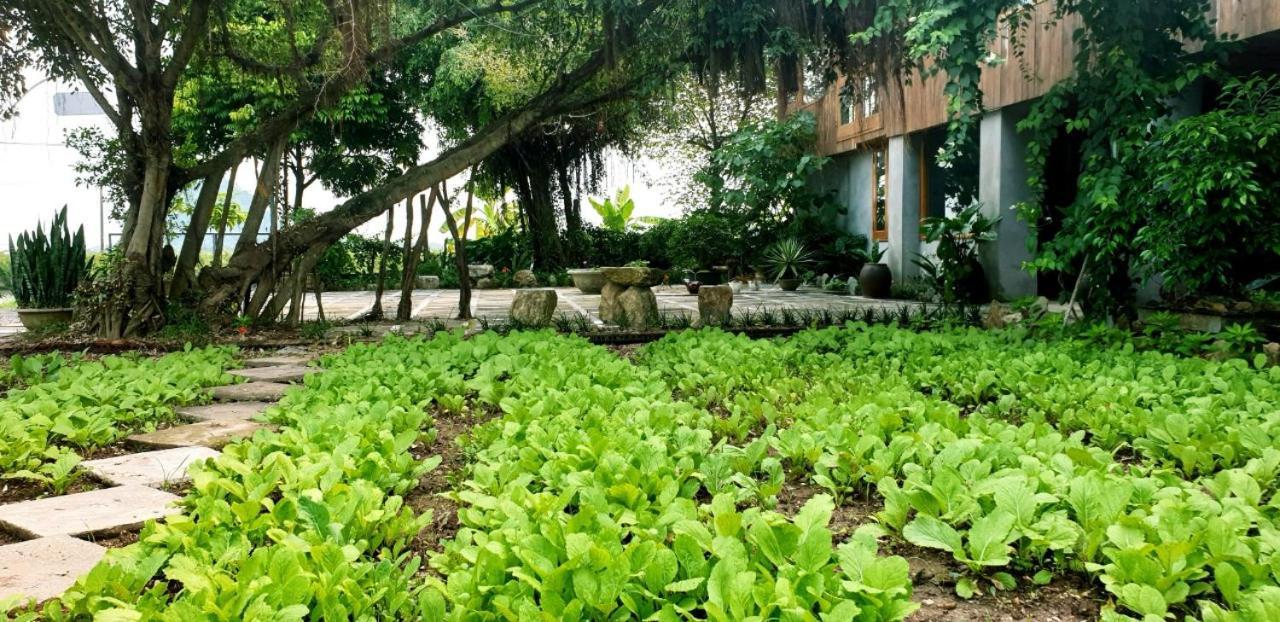 Tuyet'S Hostel Ninh Binh Exterior photo