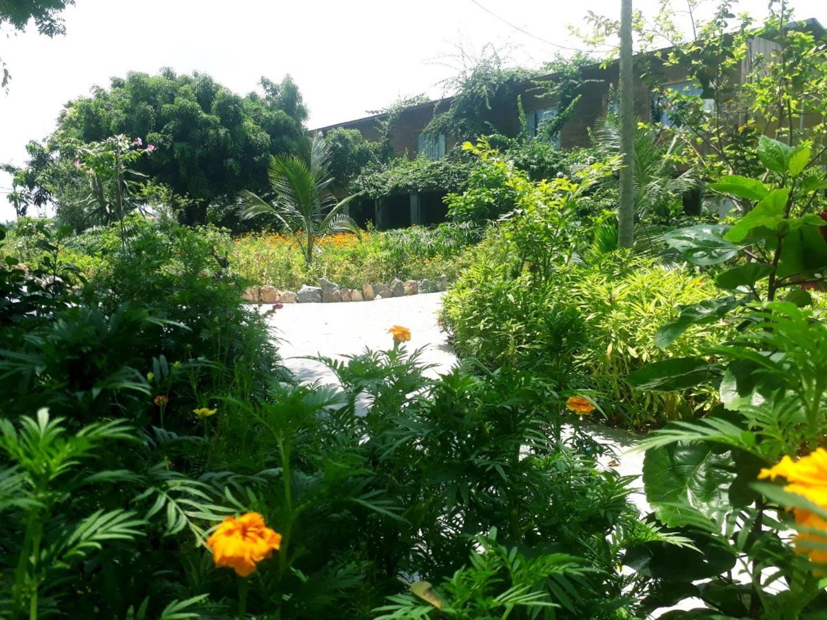 Tuyet'S Hostel Ninh Binh Exterior photo